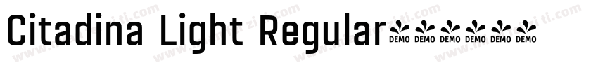 Citadina Light Regular字体转换